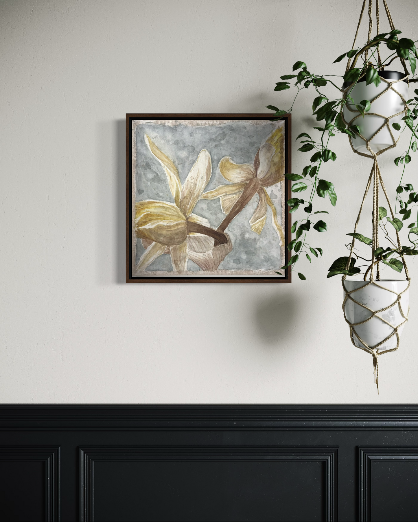Daffodils